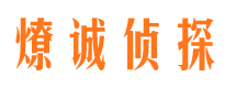 福田市调查公司